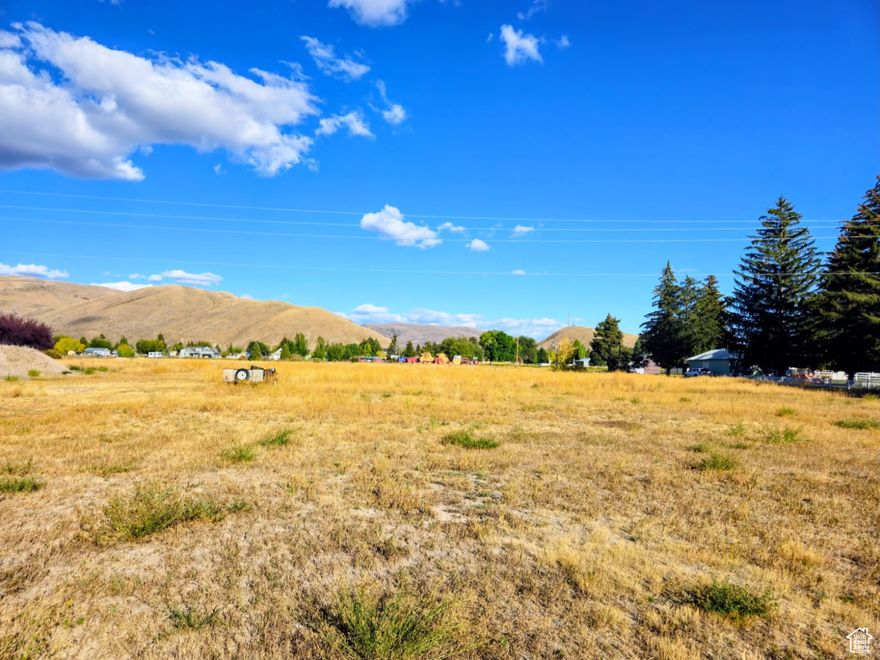 Spacious 1.12 acre building lot in the heart of Montpelier Idaho. Lot borders North 8th St on the west and Garfield St on the south.  Water, sewer, power and gas available but not stubbed. Zoned R4, would be a great spot for townhomes or a single family residence. Contact the listing agent for more info and to schedule your showings
