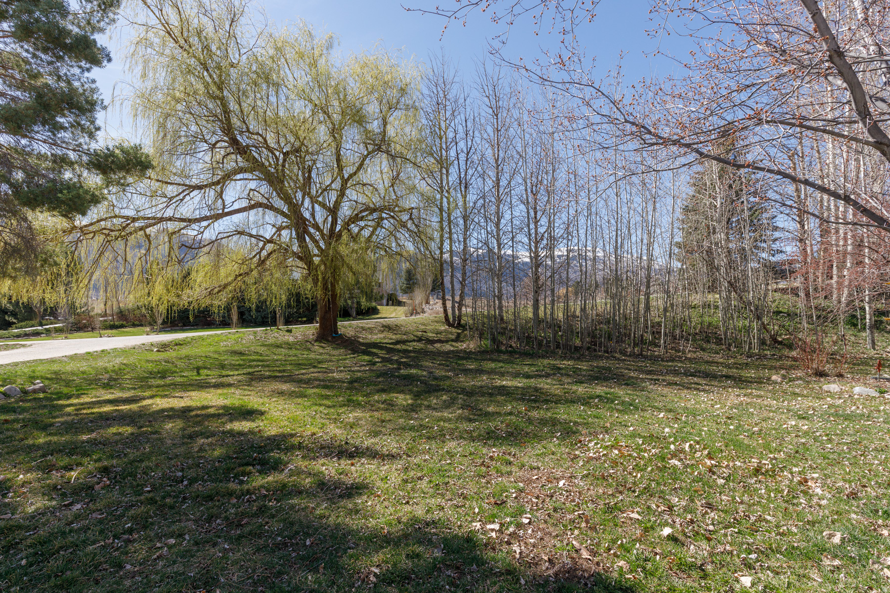 COTTONWOOD HILLS - Residential