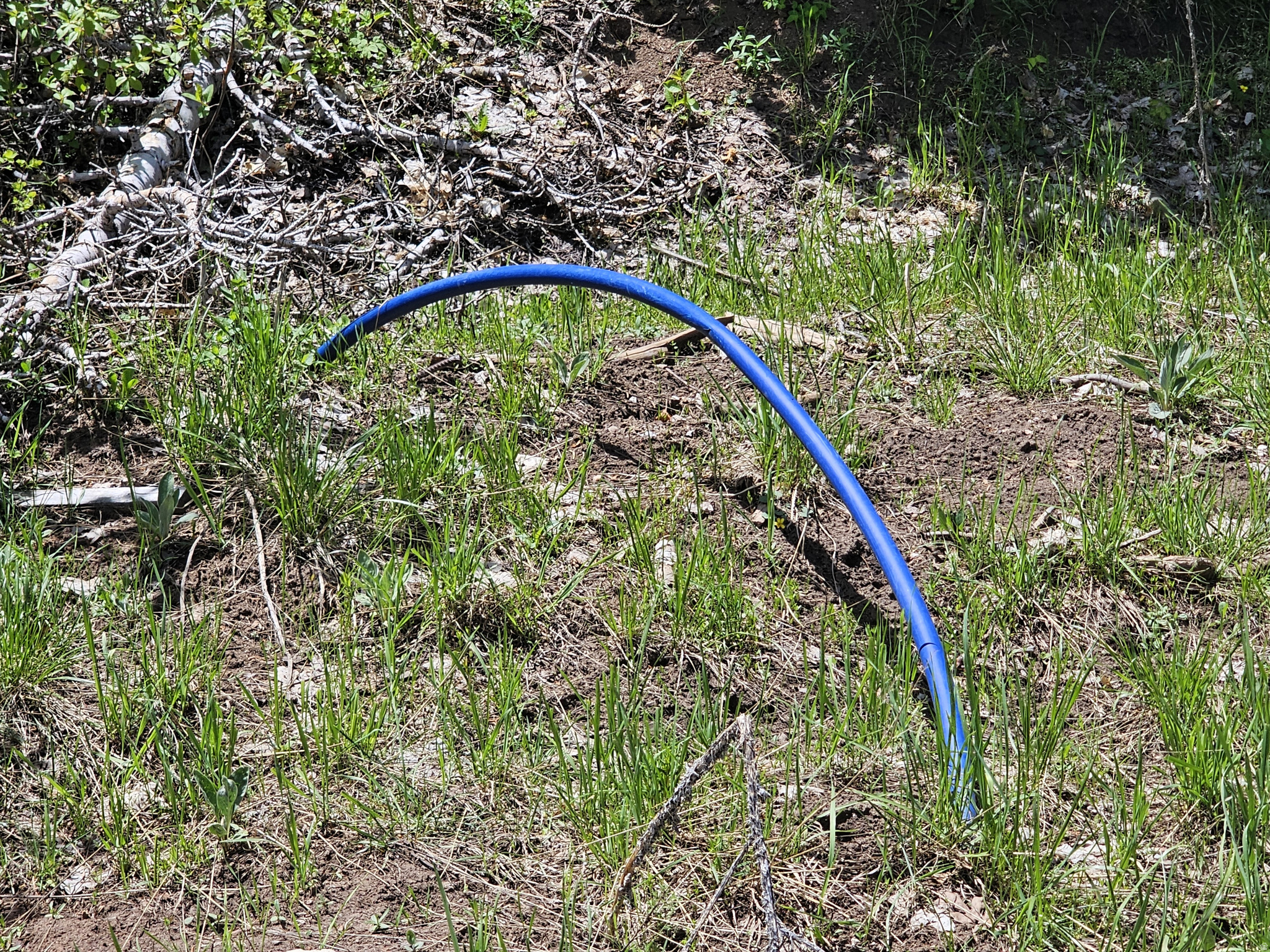 PINE RIDGE ESTATES - Land