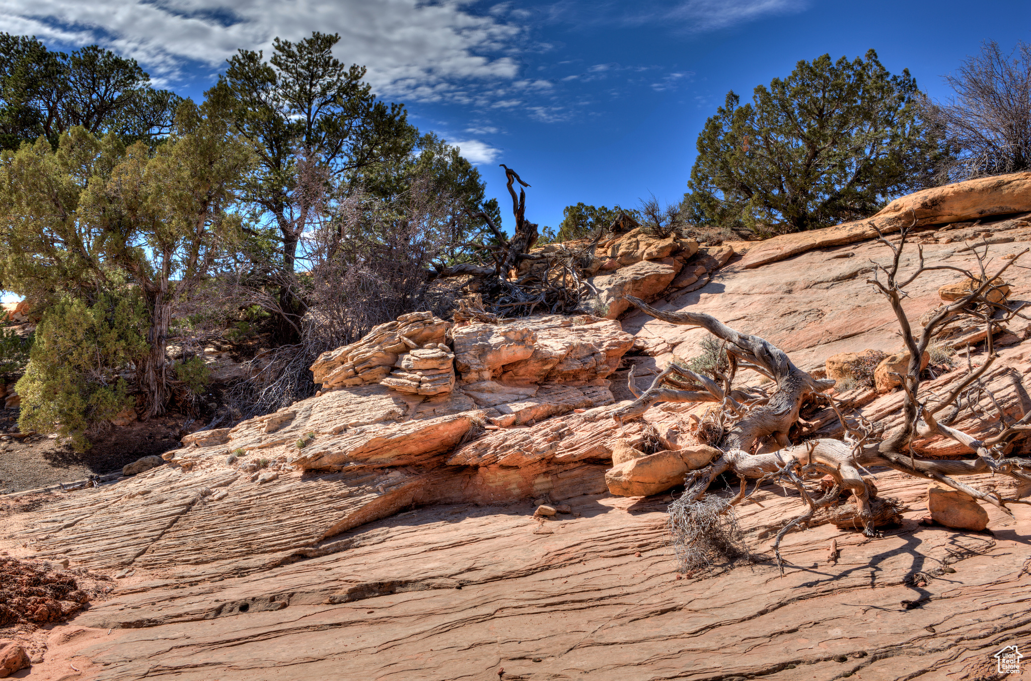 WILSON ARCH RESORT - Land