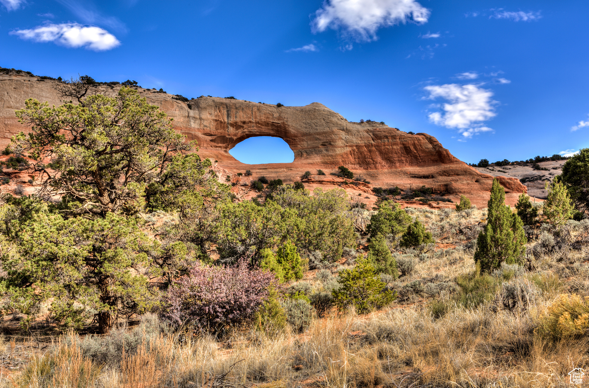 WILSON ARCH RESORT - Land