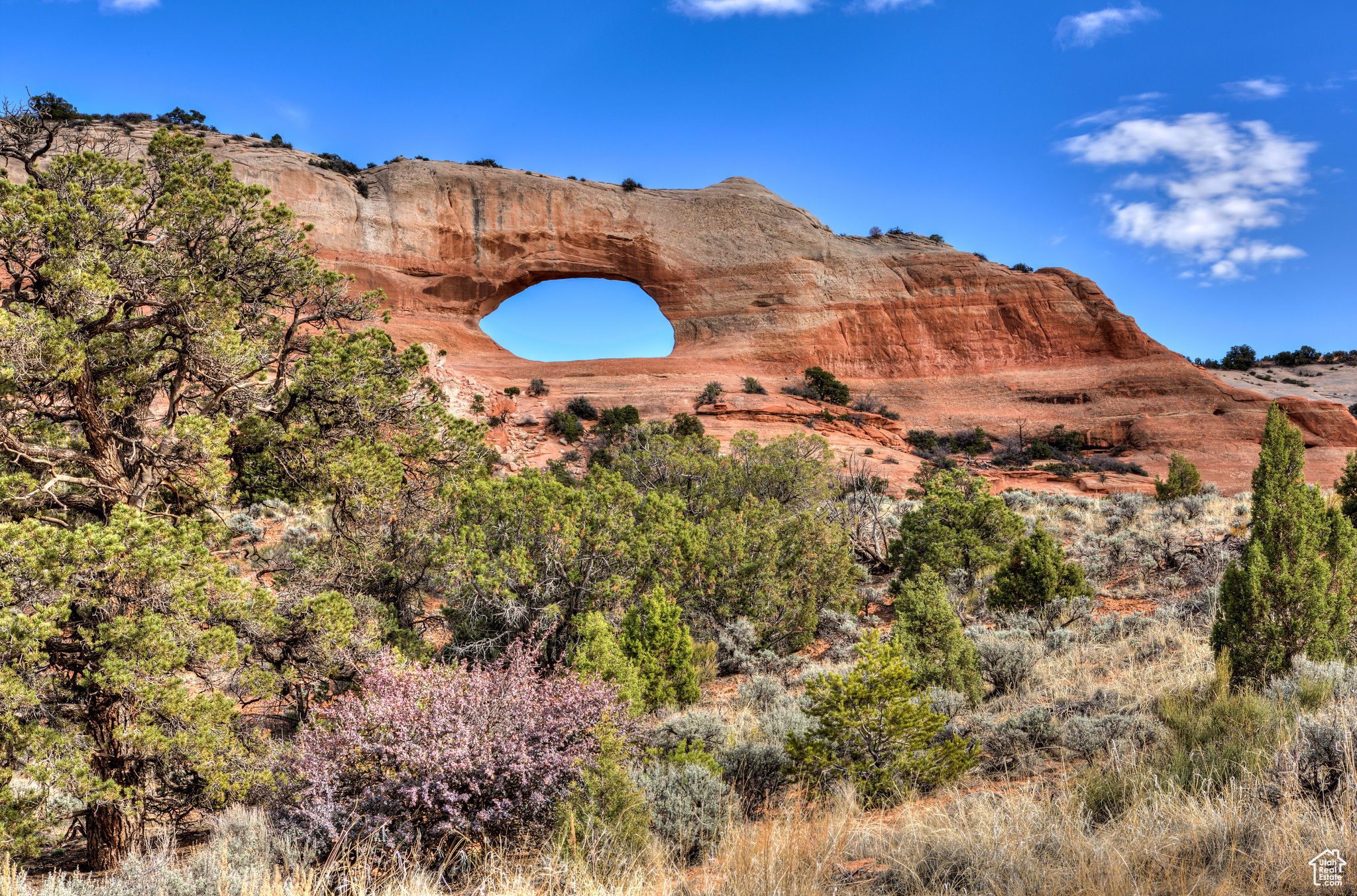 WILSON ARCH RESORT - Land