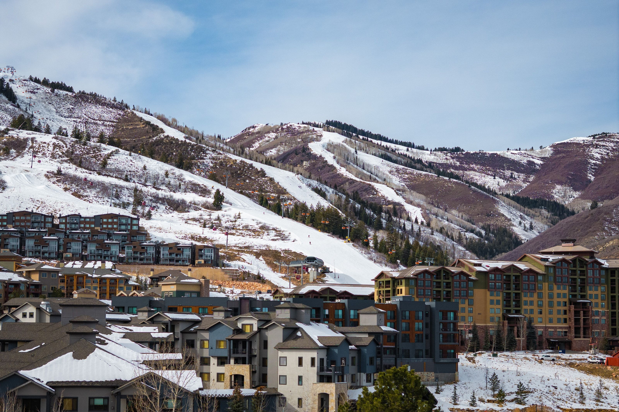 RED PINE - Residential