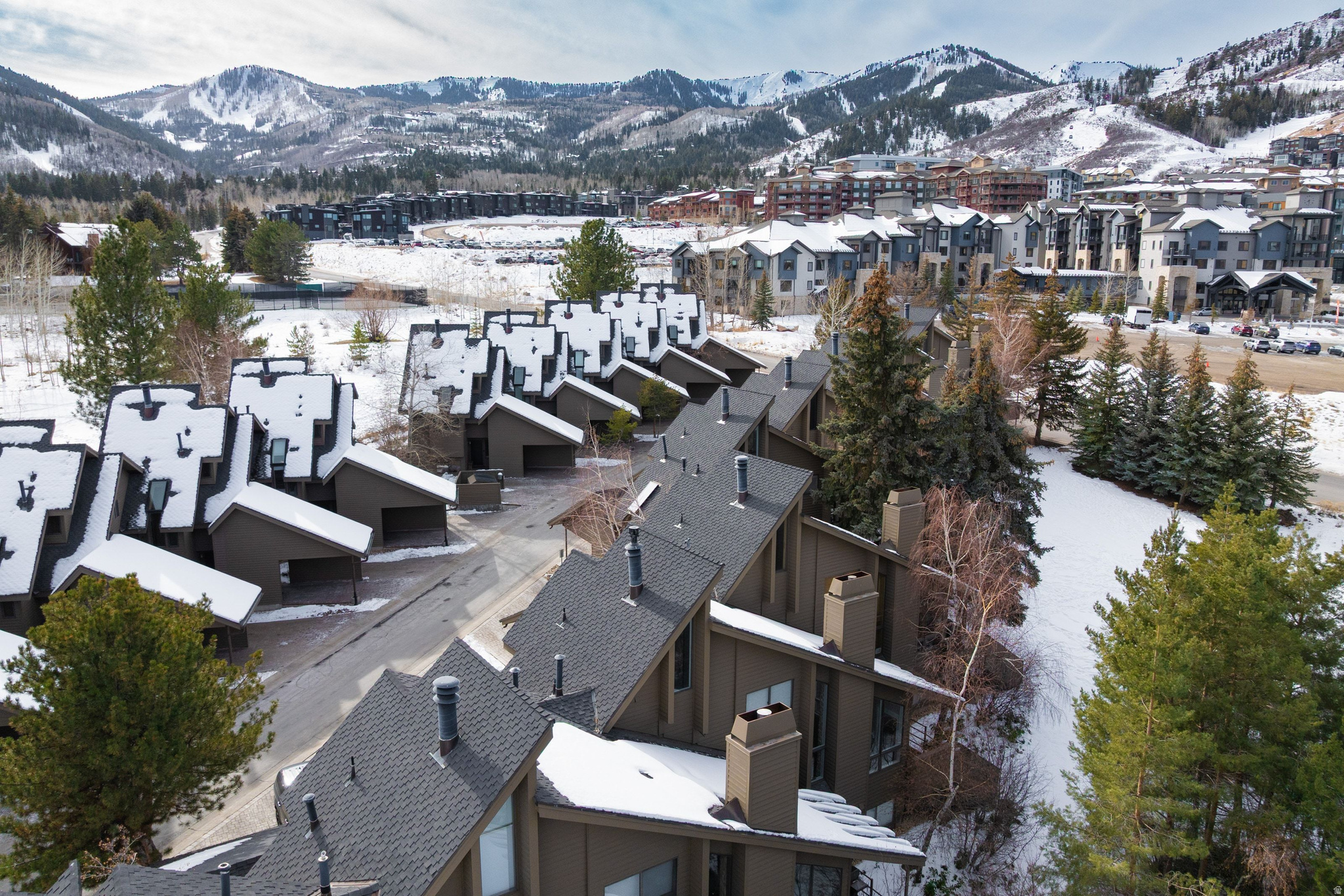 RED PINE - Residential