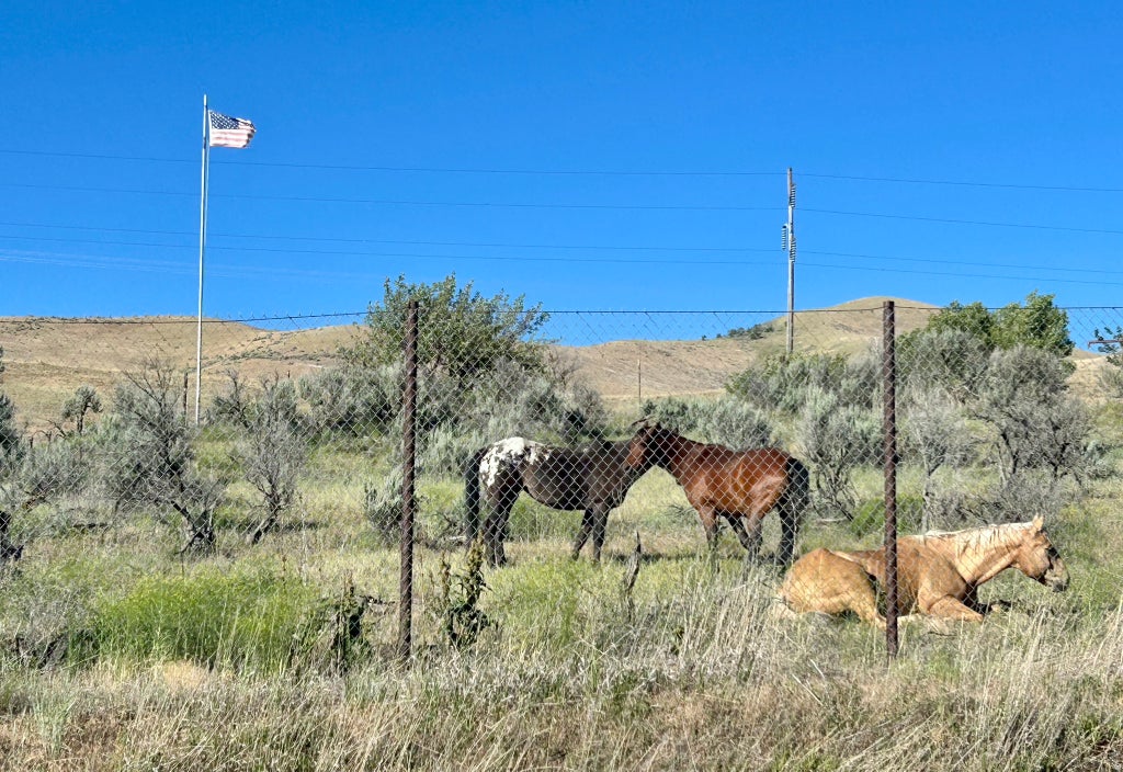 Photo of 1940 W OLD HIGHWAY RD, Morgan, UT 84050 (MLS # 2175539)