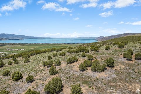Vacant Land For Sale - 1 Hwy 30 And Otter Creek Rd<br/> Rich County, Laketown, UT 84038
