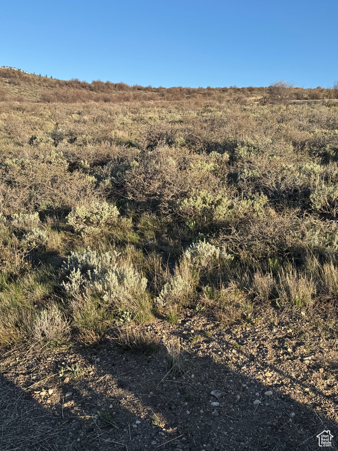 374 Bear Lake Ln #43, Fish Haven, Idaho image 17