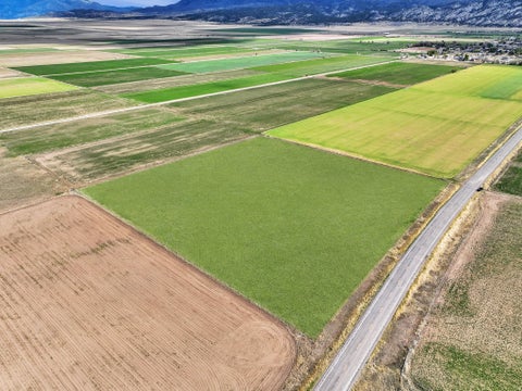 Vacant Land For Sale - Land<br/> Levan, UT 84639