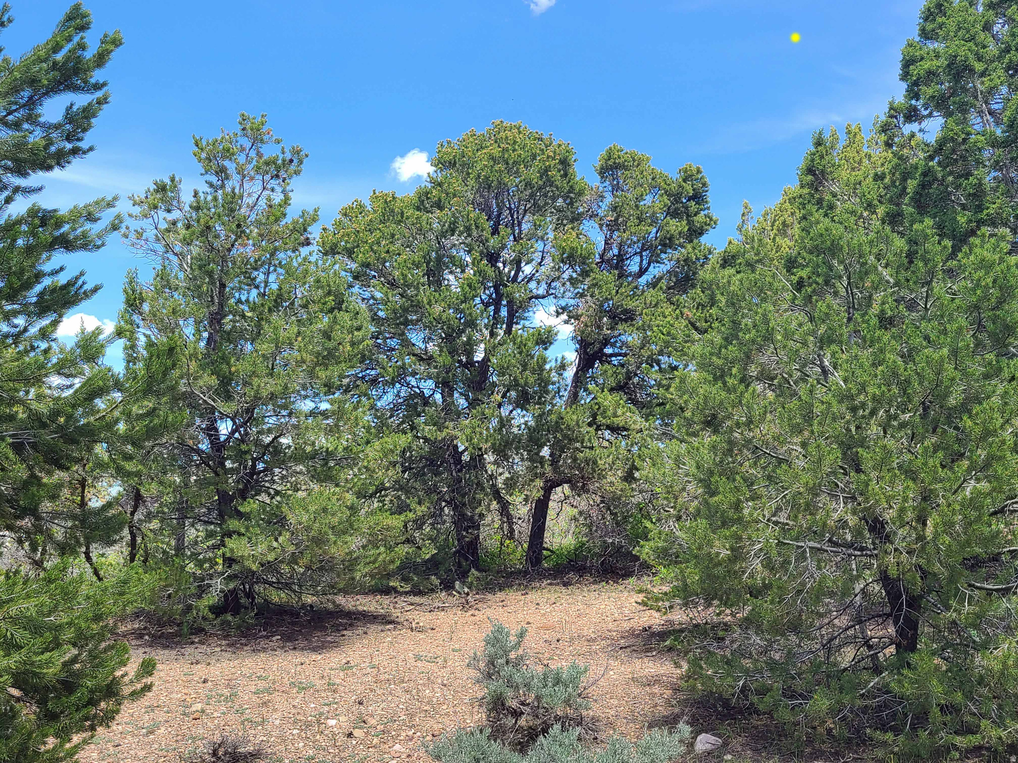 HIDEAWAY VALLEY - Land