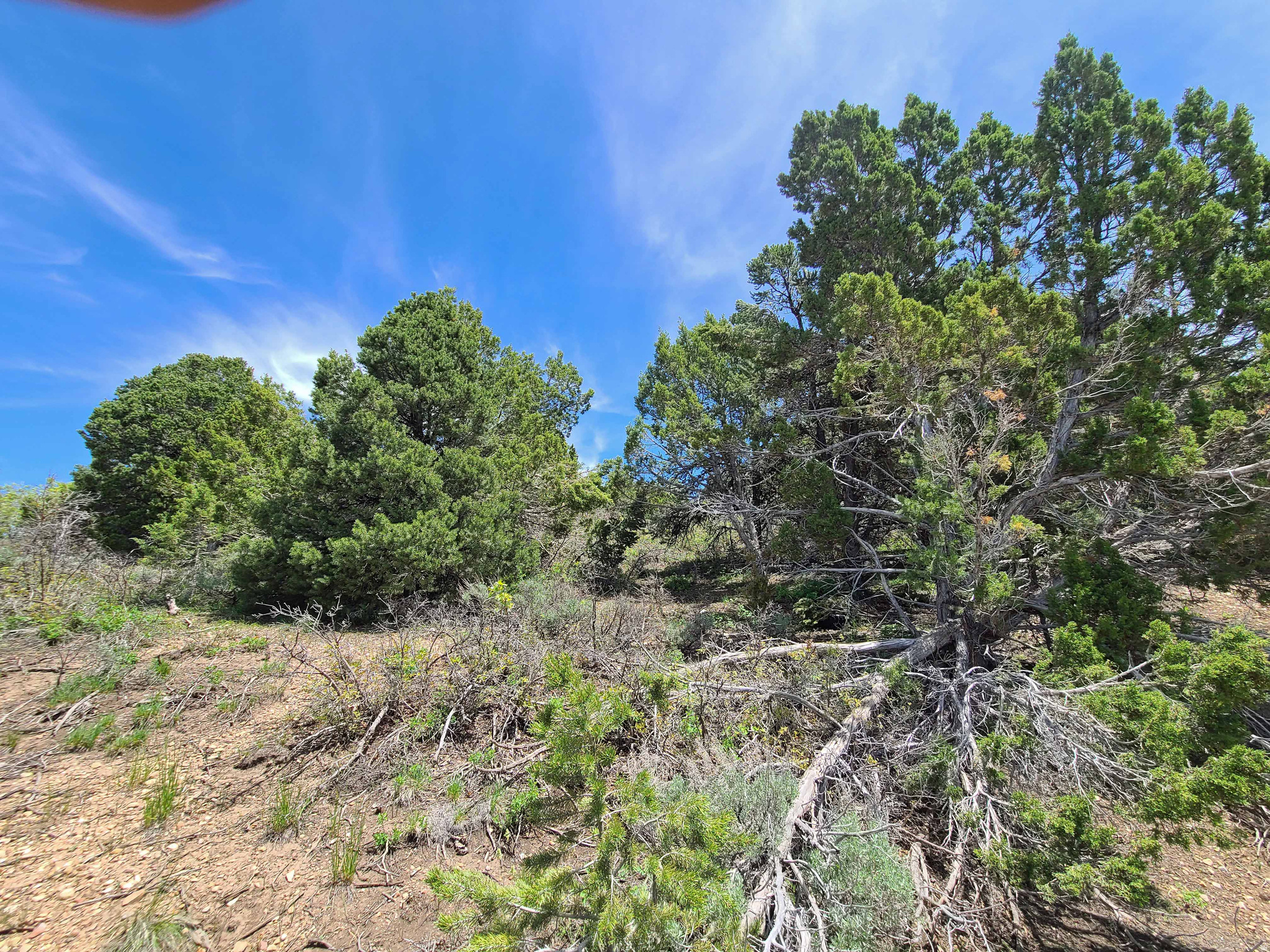 HIDEAWAY VALLEY - Land