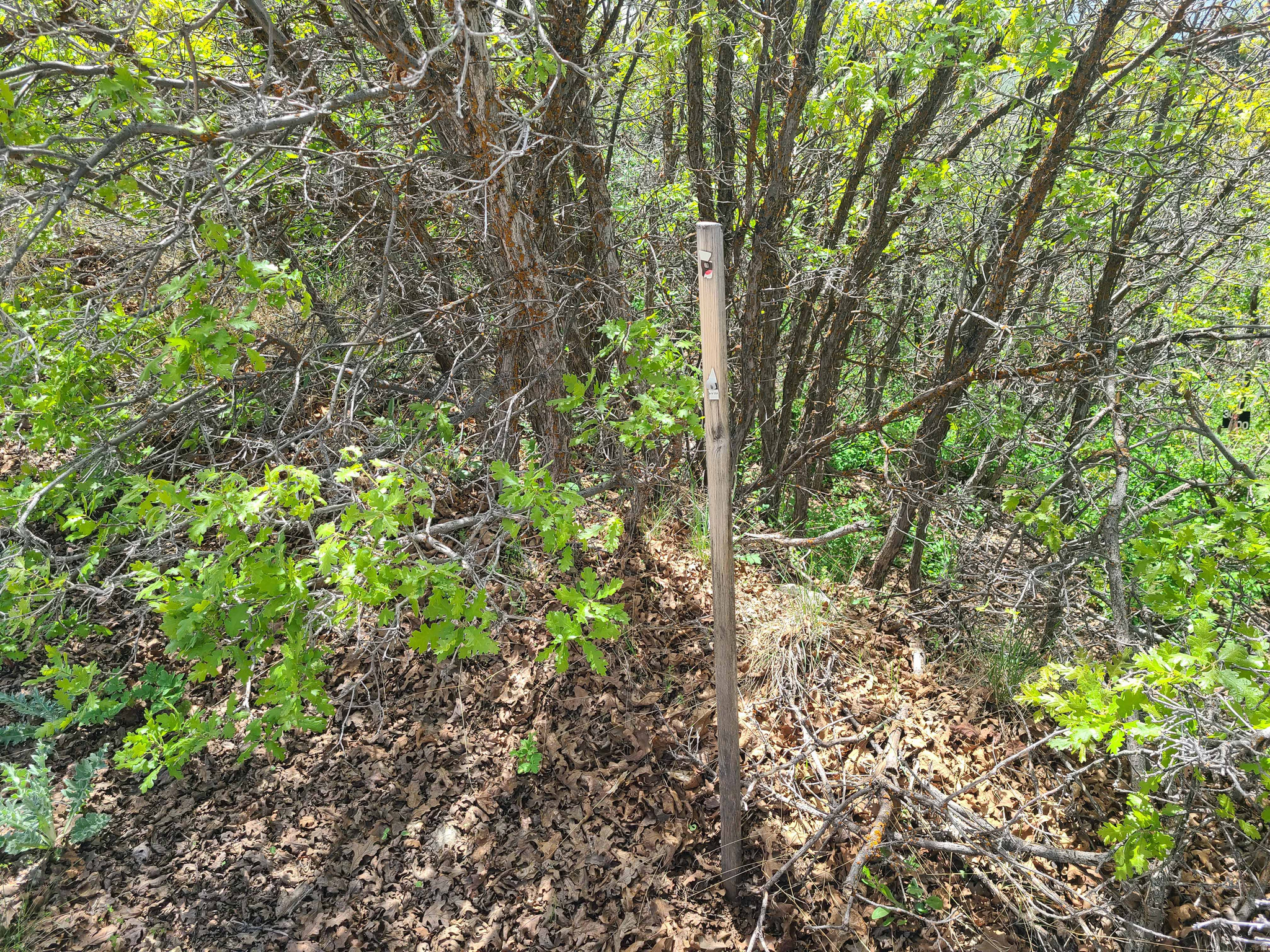 HIDEAWAY VALLEY - Land