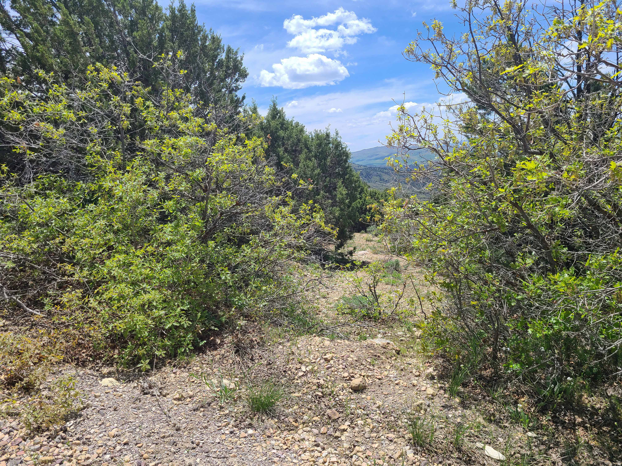 HIDEAWAY VALLEY - Land