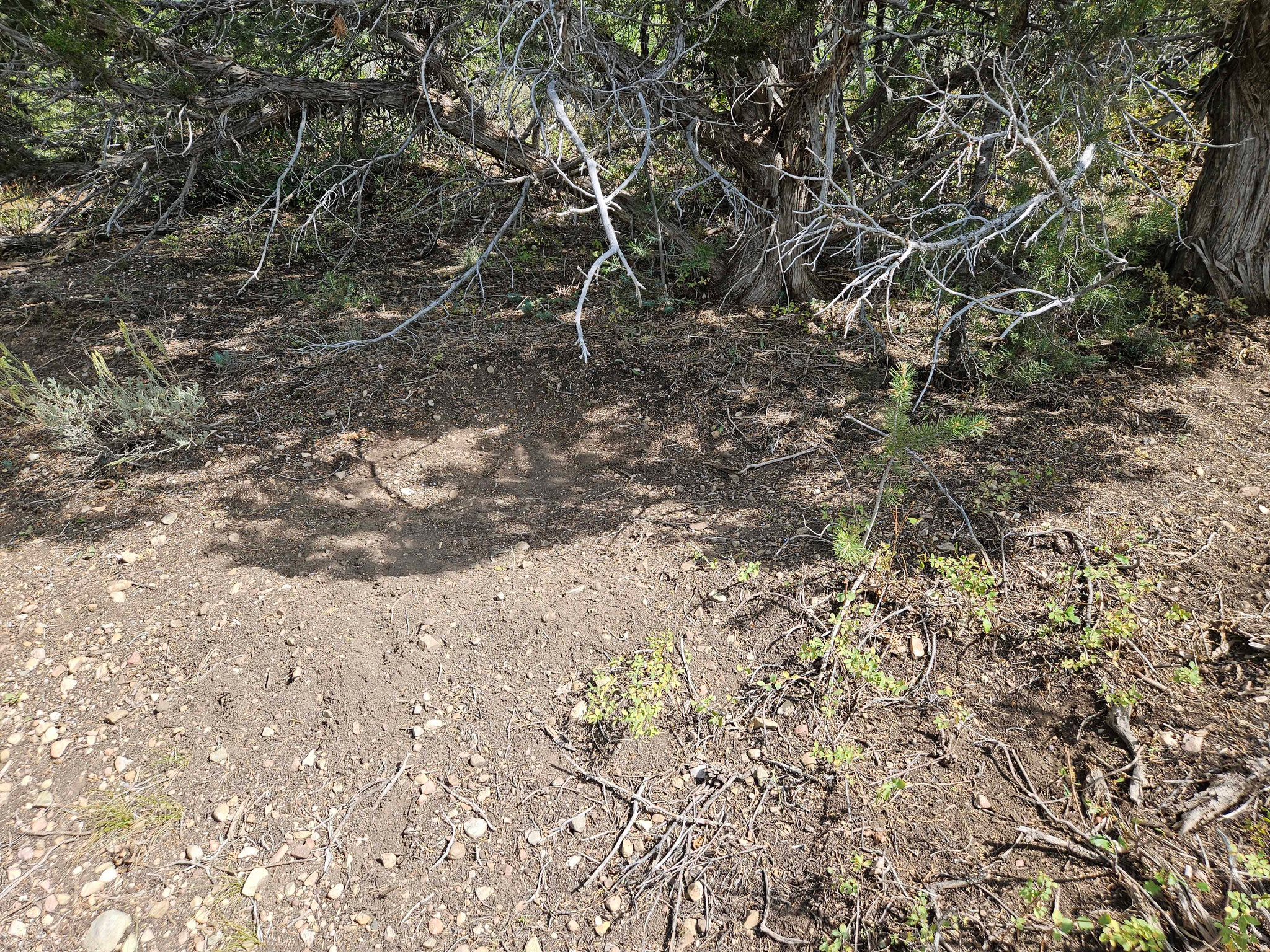 HIDEAWAY VALLEY - Land