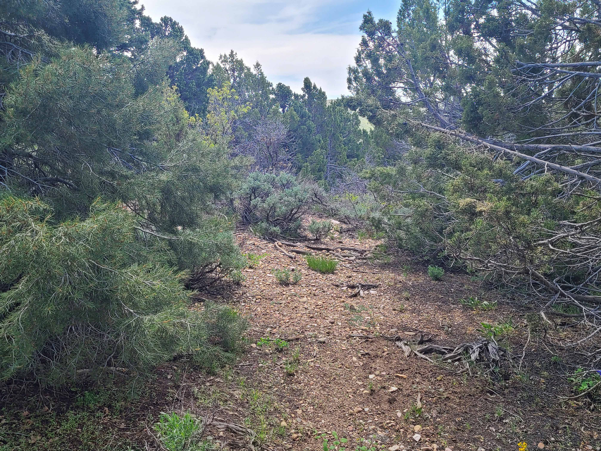 HIDEAWAY VALLEY - Land