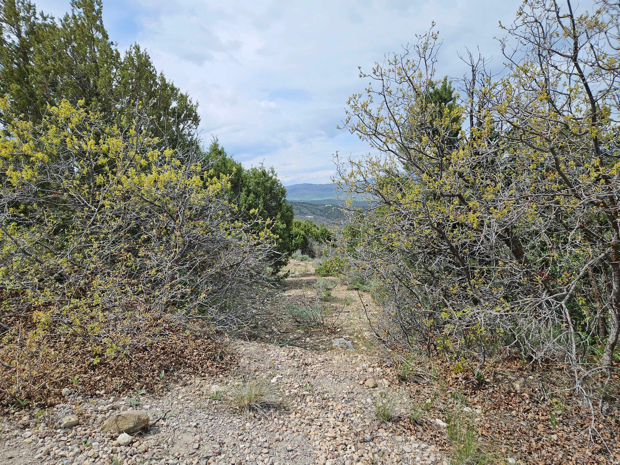 HIDEAWAY VALLEY - Land