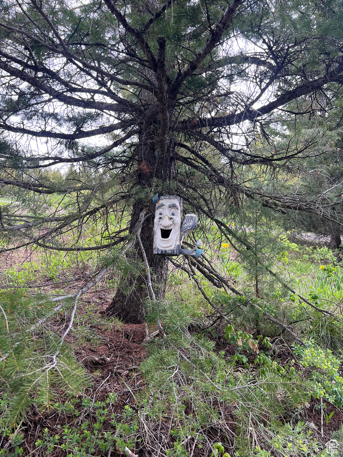 SQUAW CREEK PHASE 2 - Land