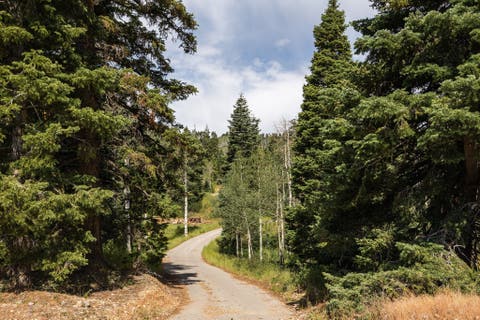 Tiny photo for 2051 S PINE MEADOW DR #138B, Coalville, UT 84017 (MLS # 2173978)