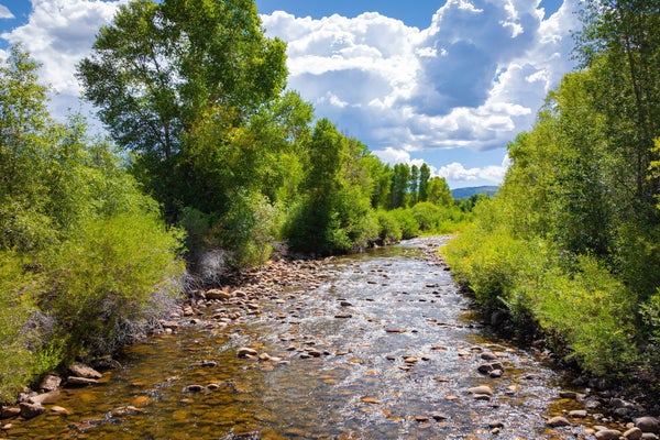 4347 S BENCH CREEK RD, KAMAS, UT 84036 - Image 3b3dff2c6e252dbfd8835d716e2cf960/3354144091