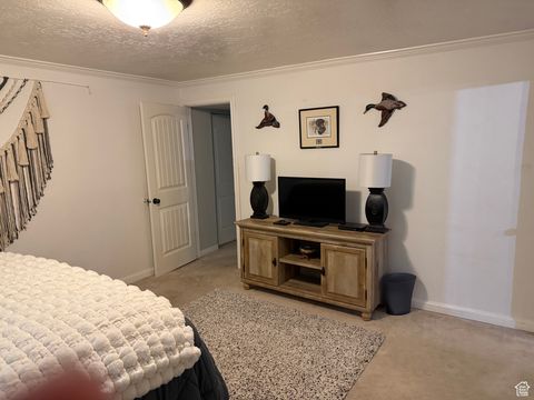 Tiny photo for 1360 S CARTERVILLE RD, Orem, UT 84097 (MLS # 2113984)