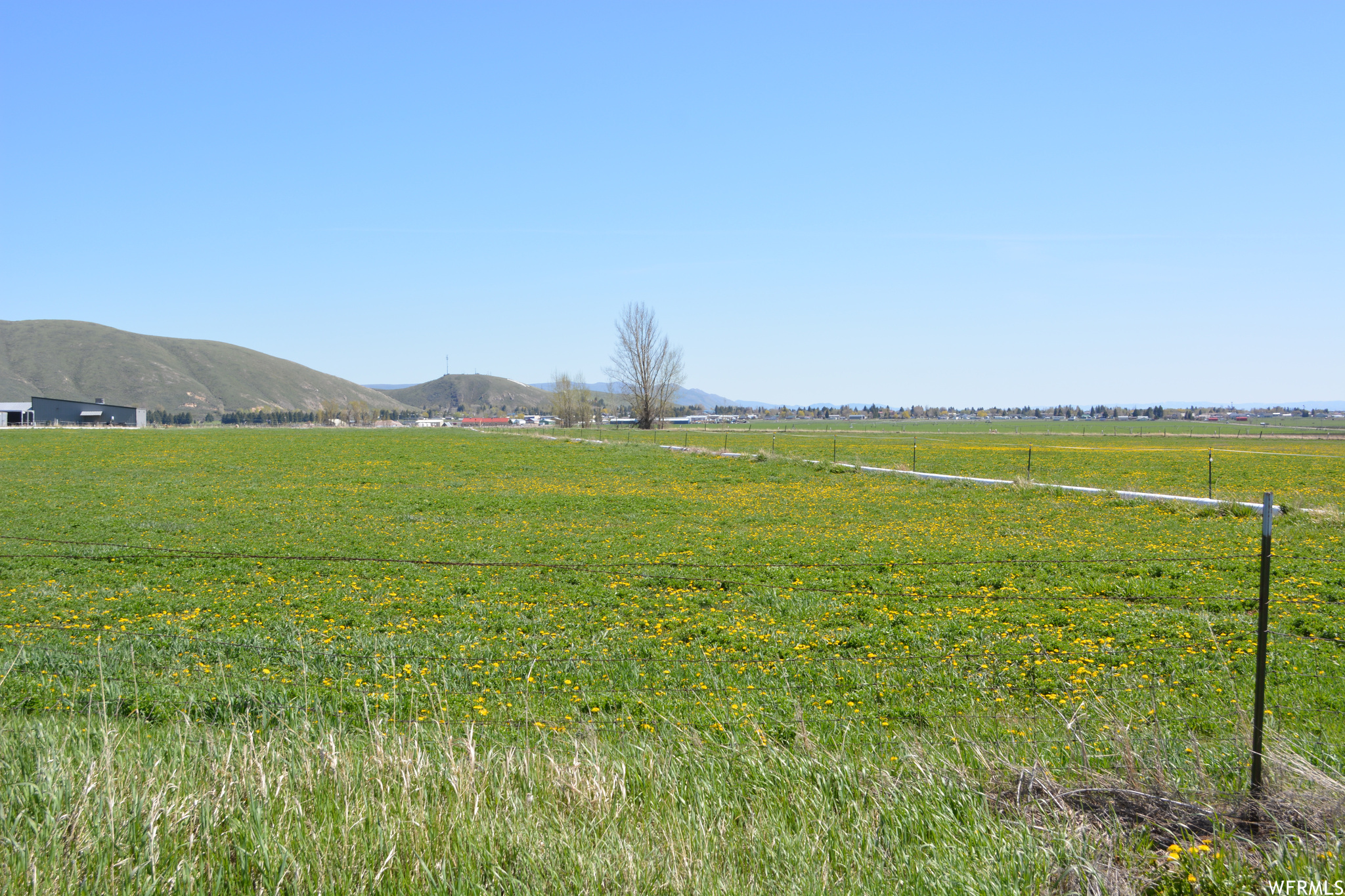 Land, Montpelier, Idaho image 6