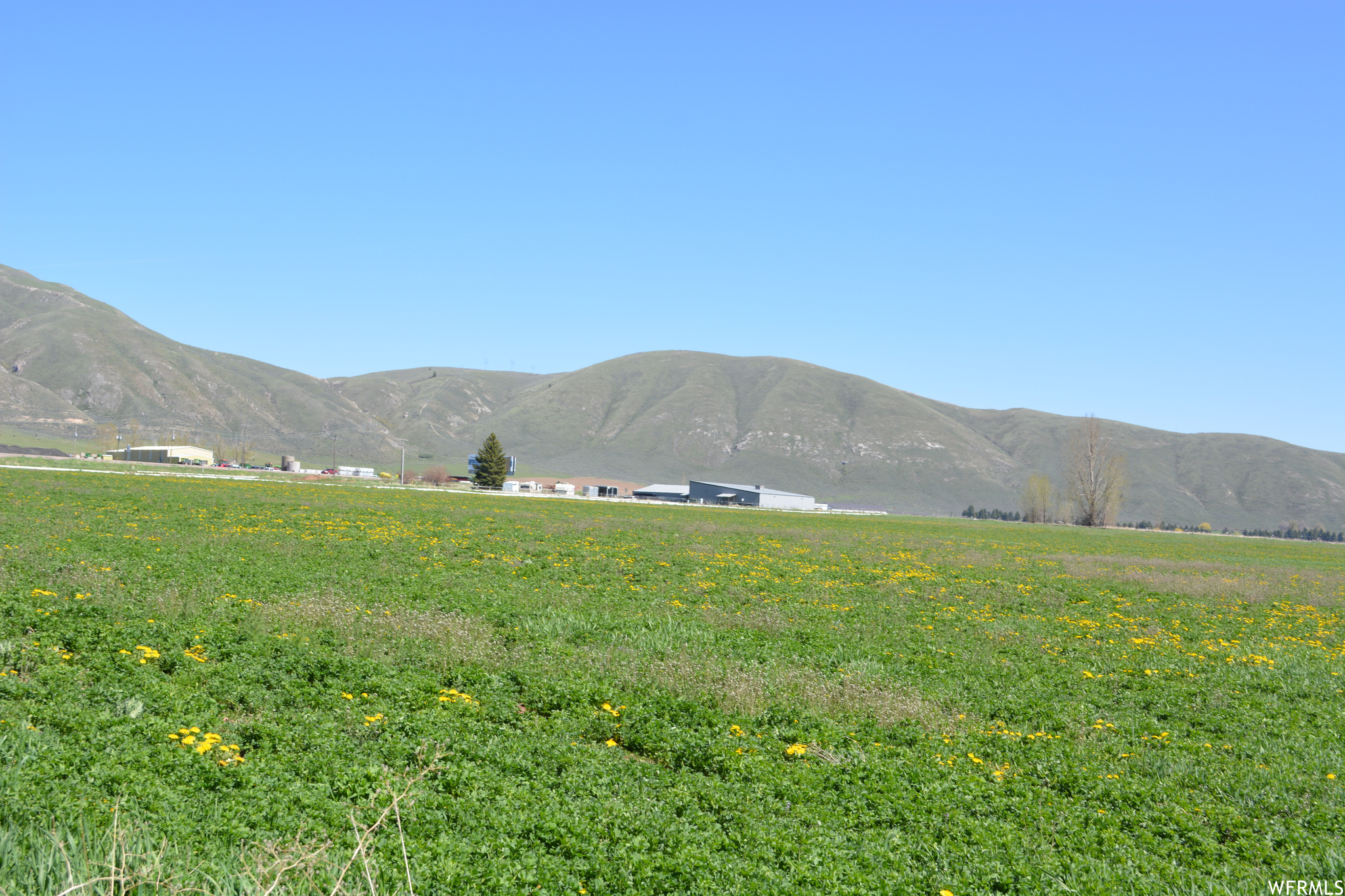 Land, Montpelier, Idaho image 9