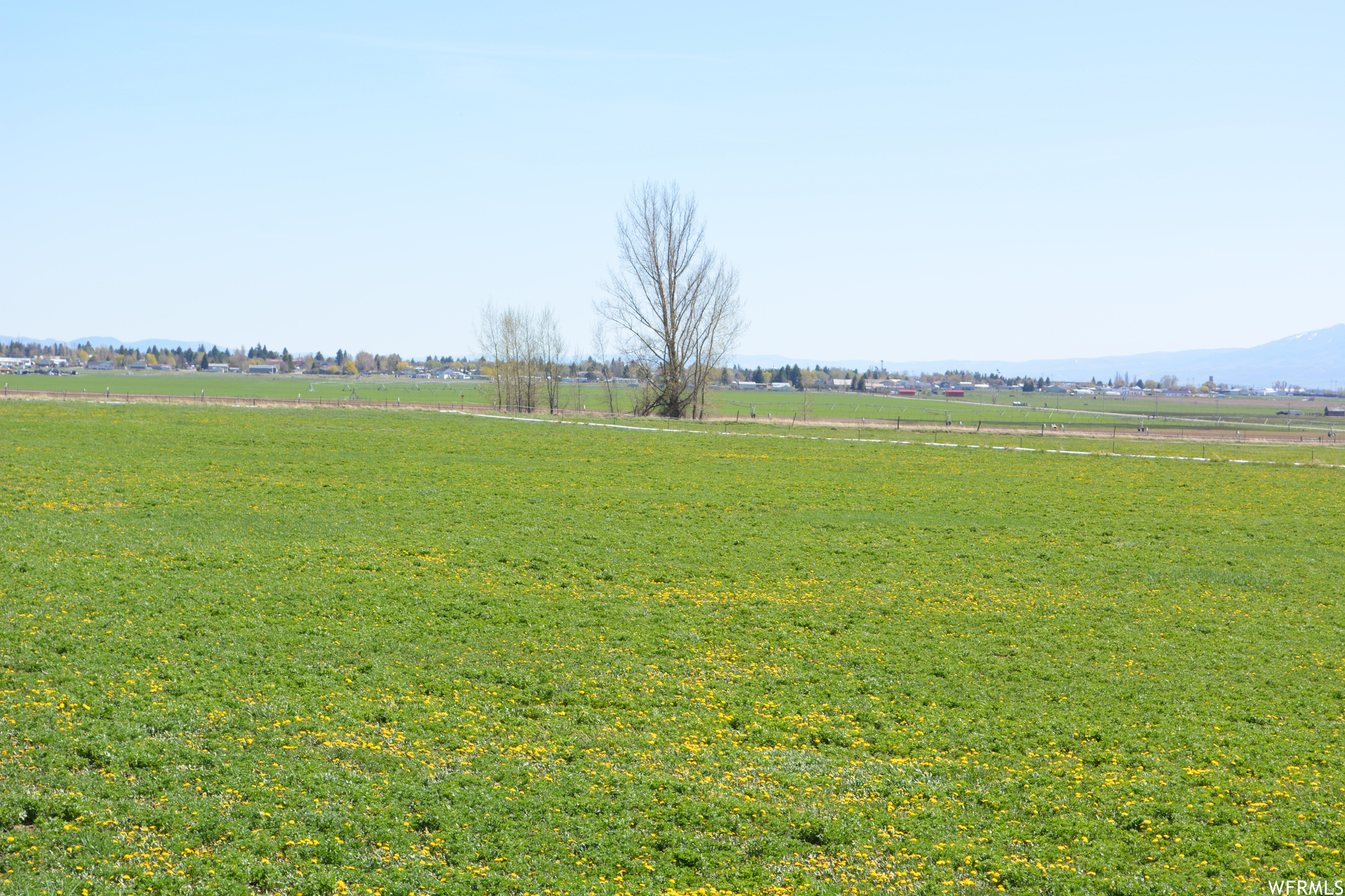 Land, Montpelier, Idaho image 5