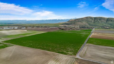 Vacant Land For Sale - 6350 W 9000<br/> Newton, UT 84327