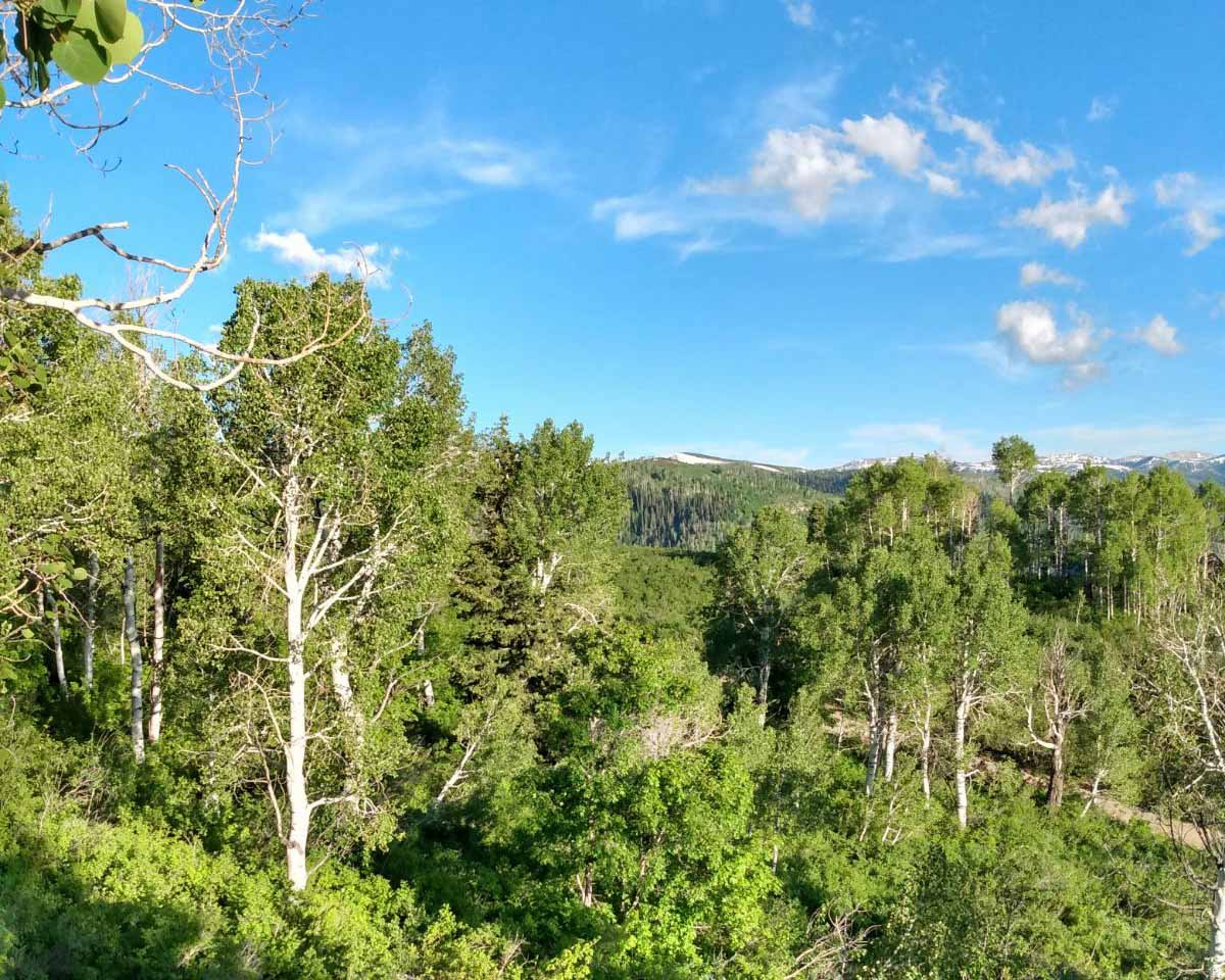 SKYLINE MOUNTAIN RES - Land