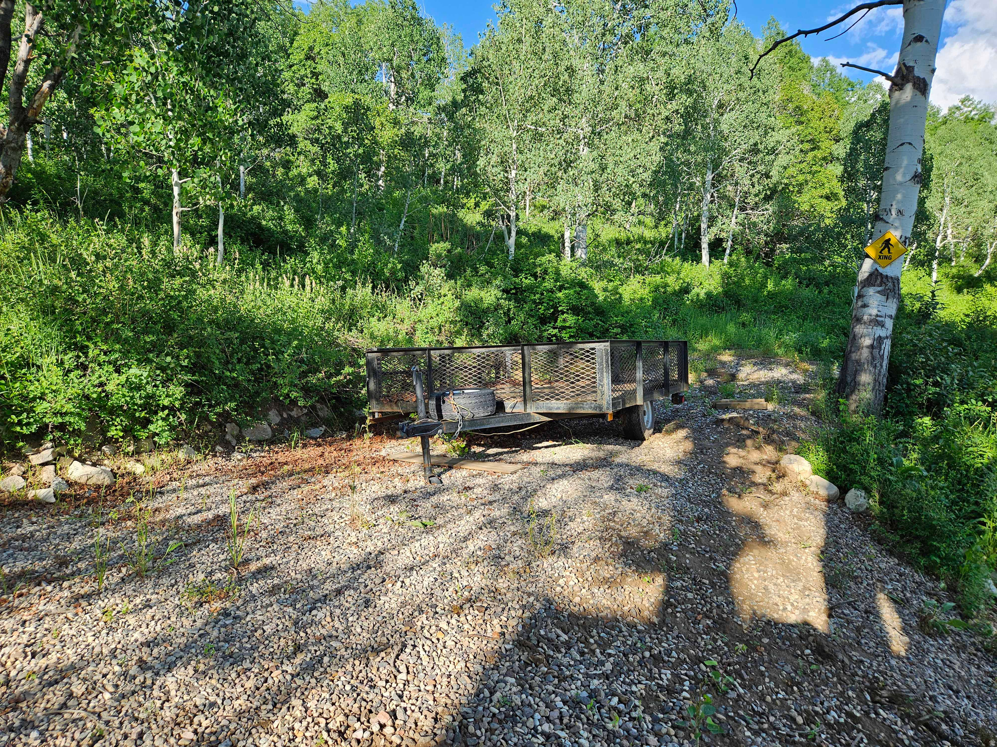 SKYLINE MOUNTAIN RES - Land