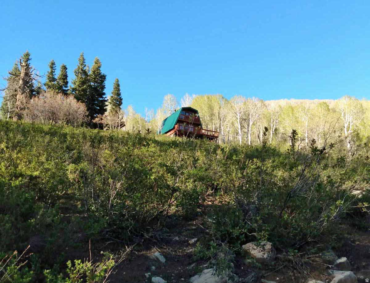 SKYLINE MOUNTAIN RES - Land