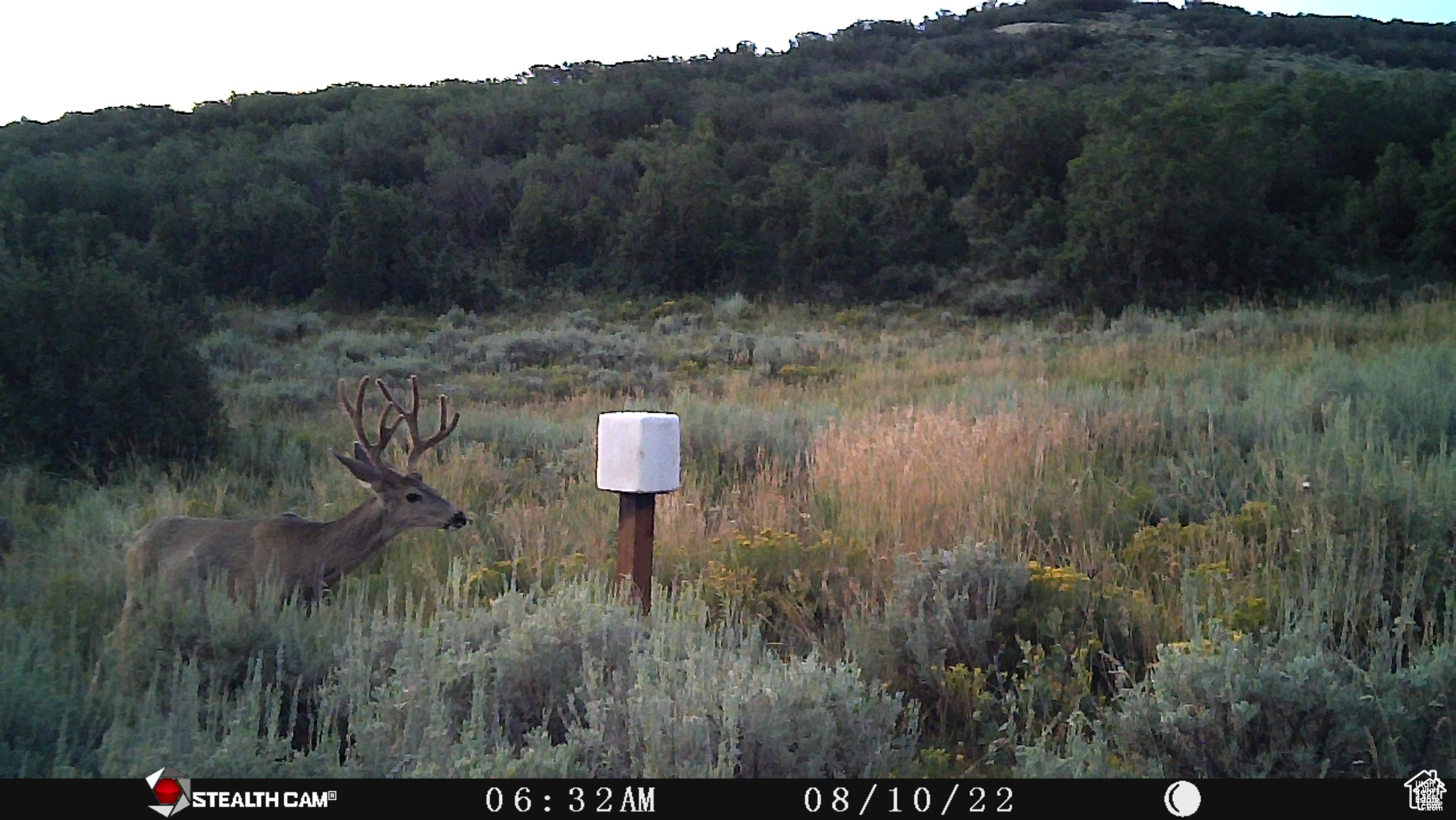 ECHO CREEK RANCHES - Land