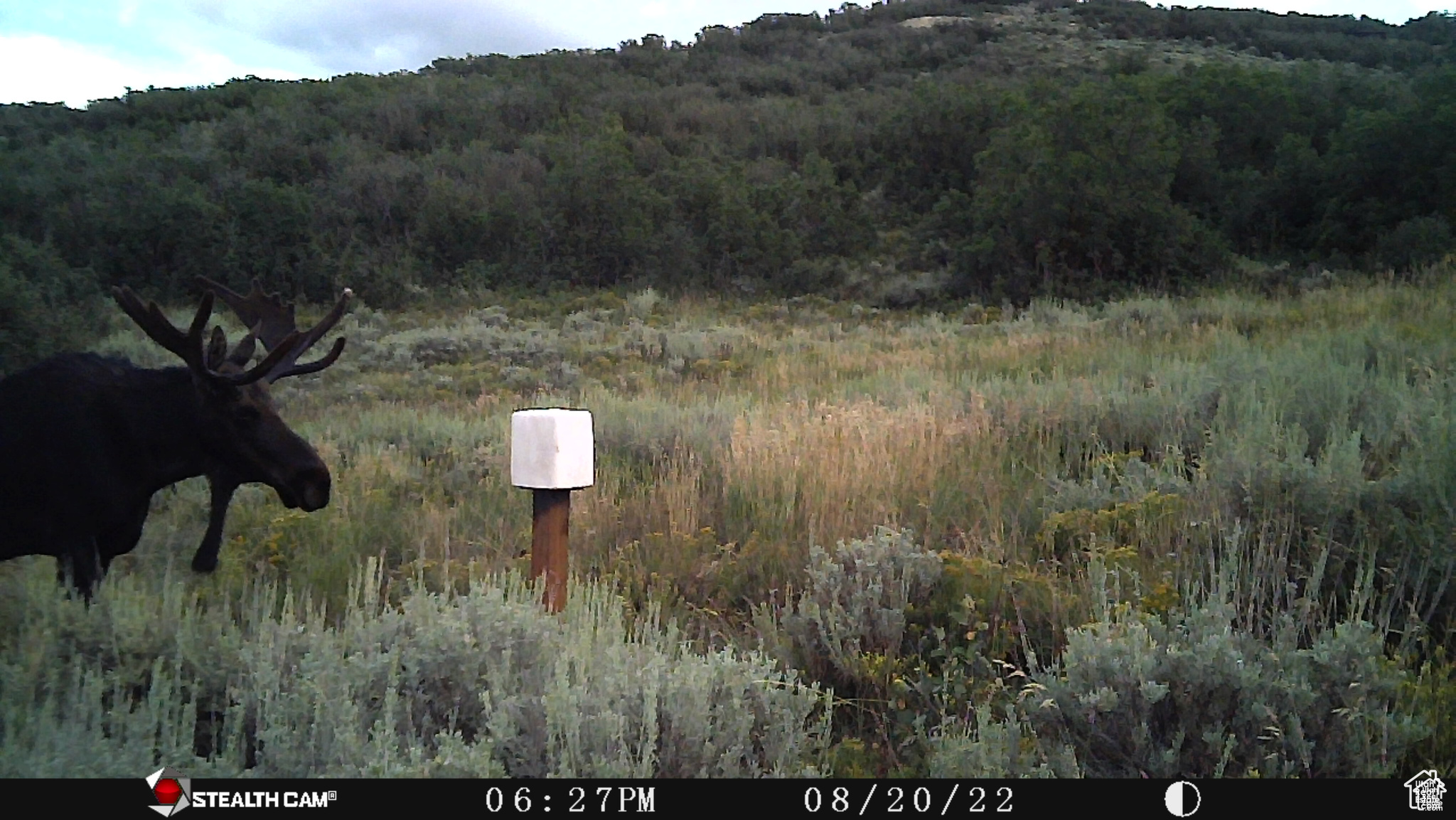 ECHO CREEK RANCHES - Land