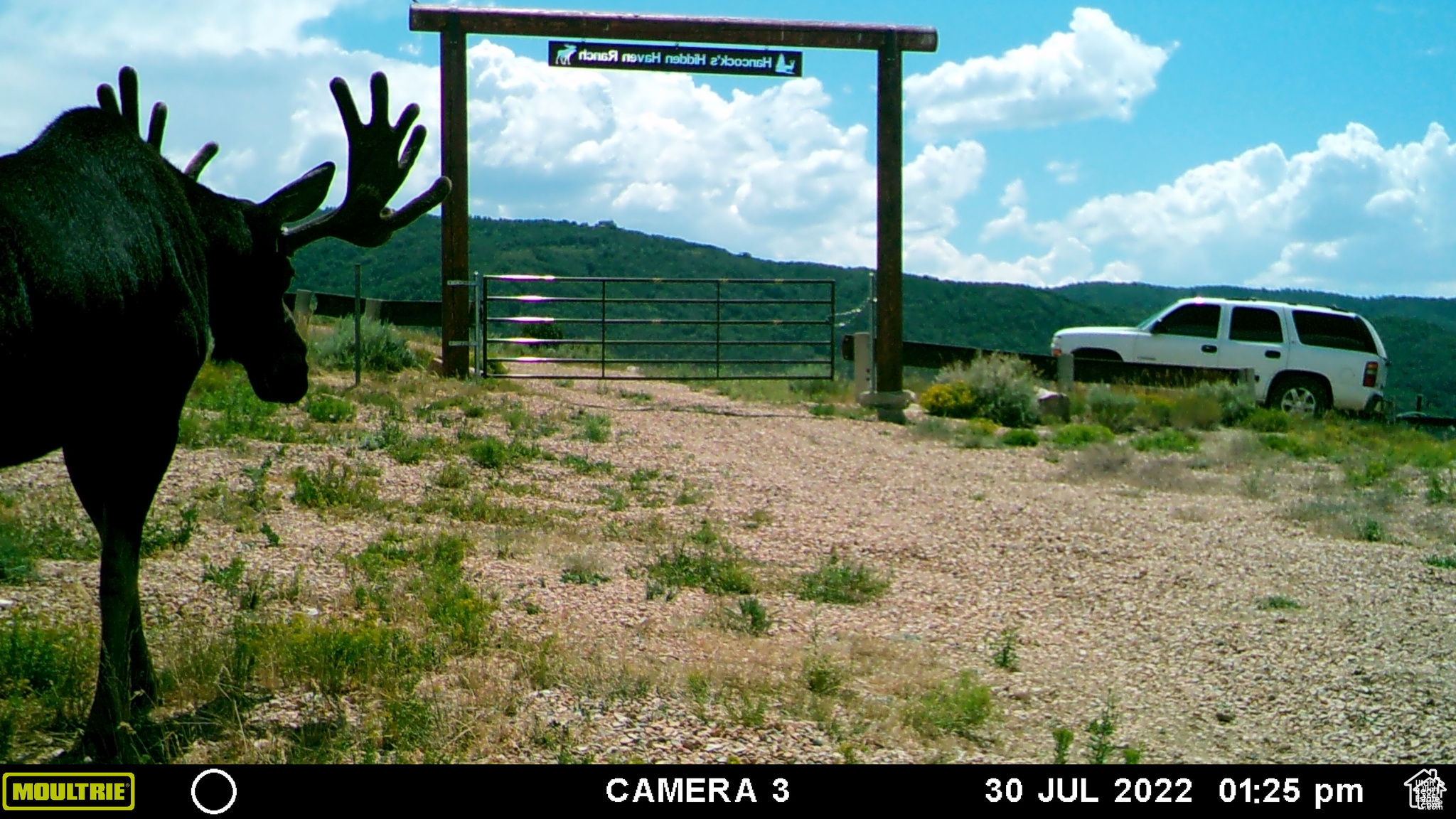 ECHO CREEK RANCHES - Land
