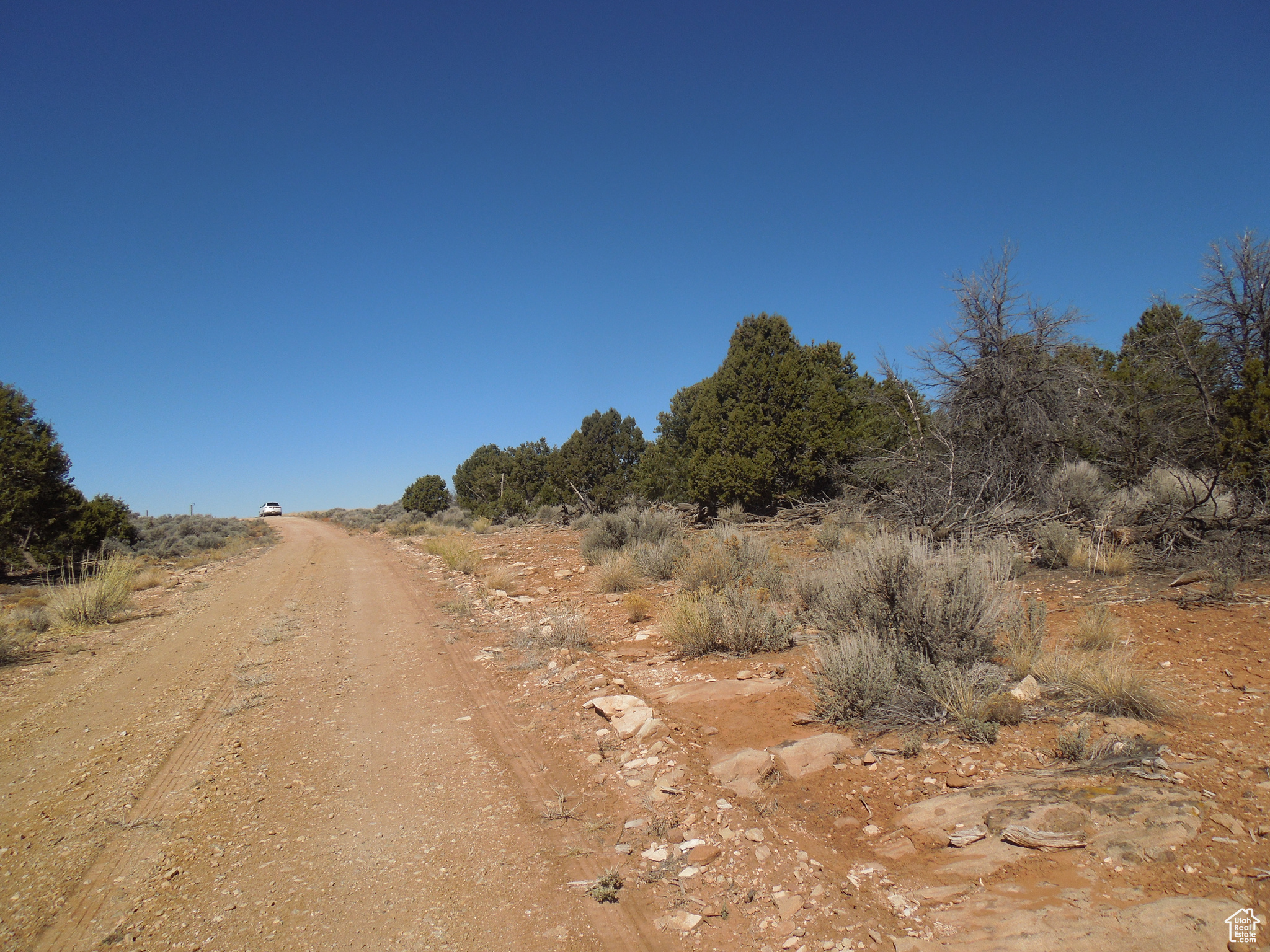 SUNRISE COUNTRY - Land