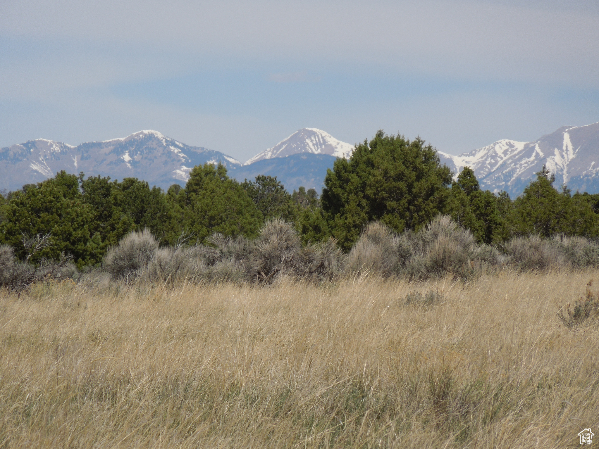 SUNRISE COUNTRY - Land