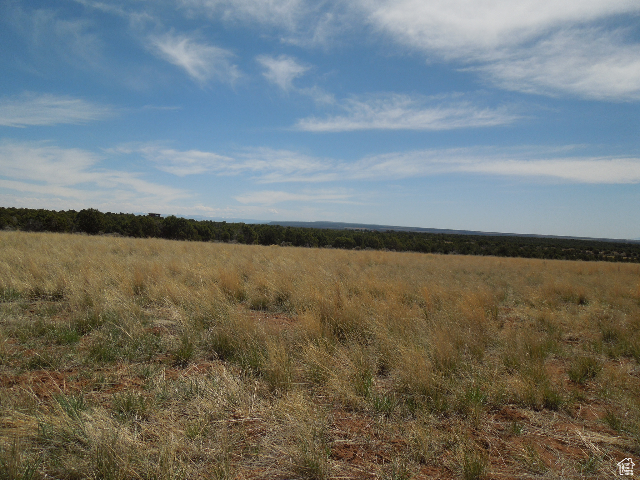 SUNRISE COUNTRY - Land