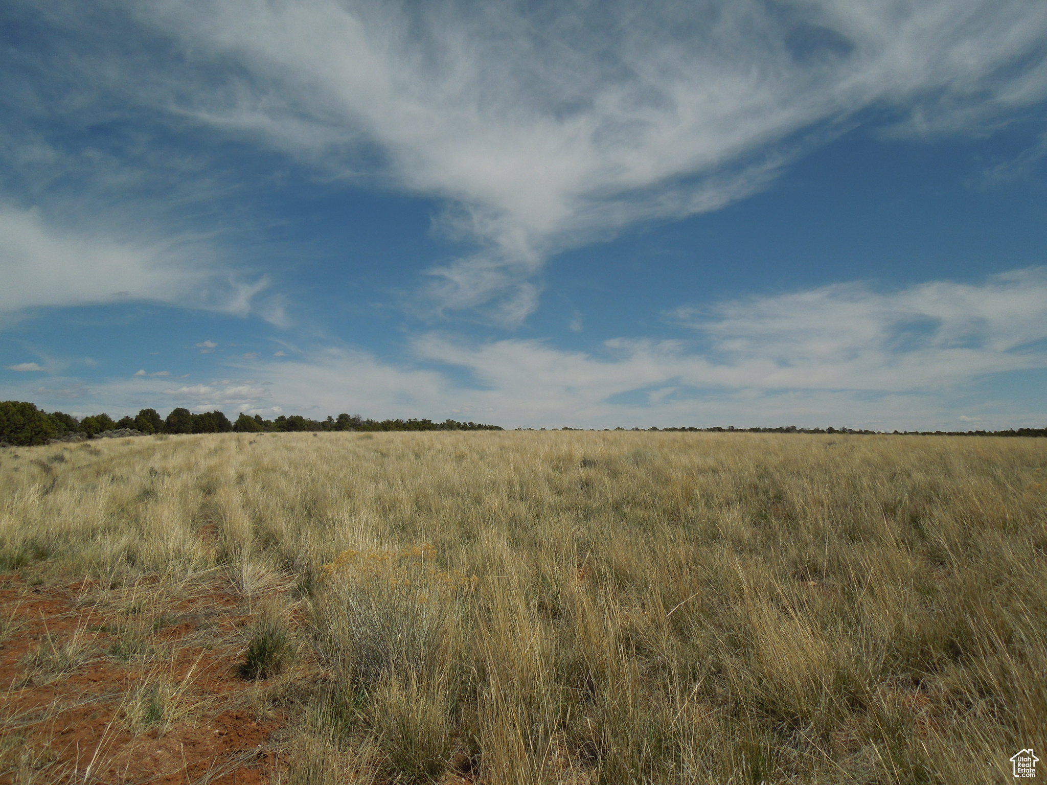 SUNRISE COUNTRY - Land