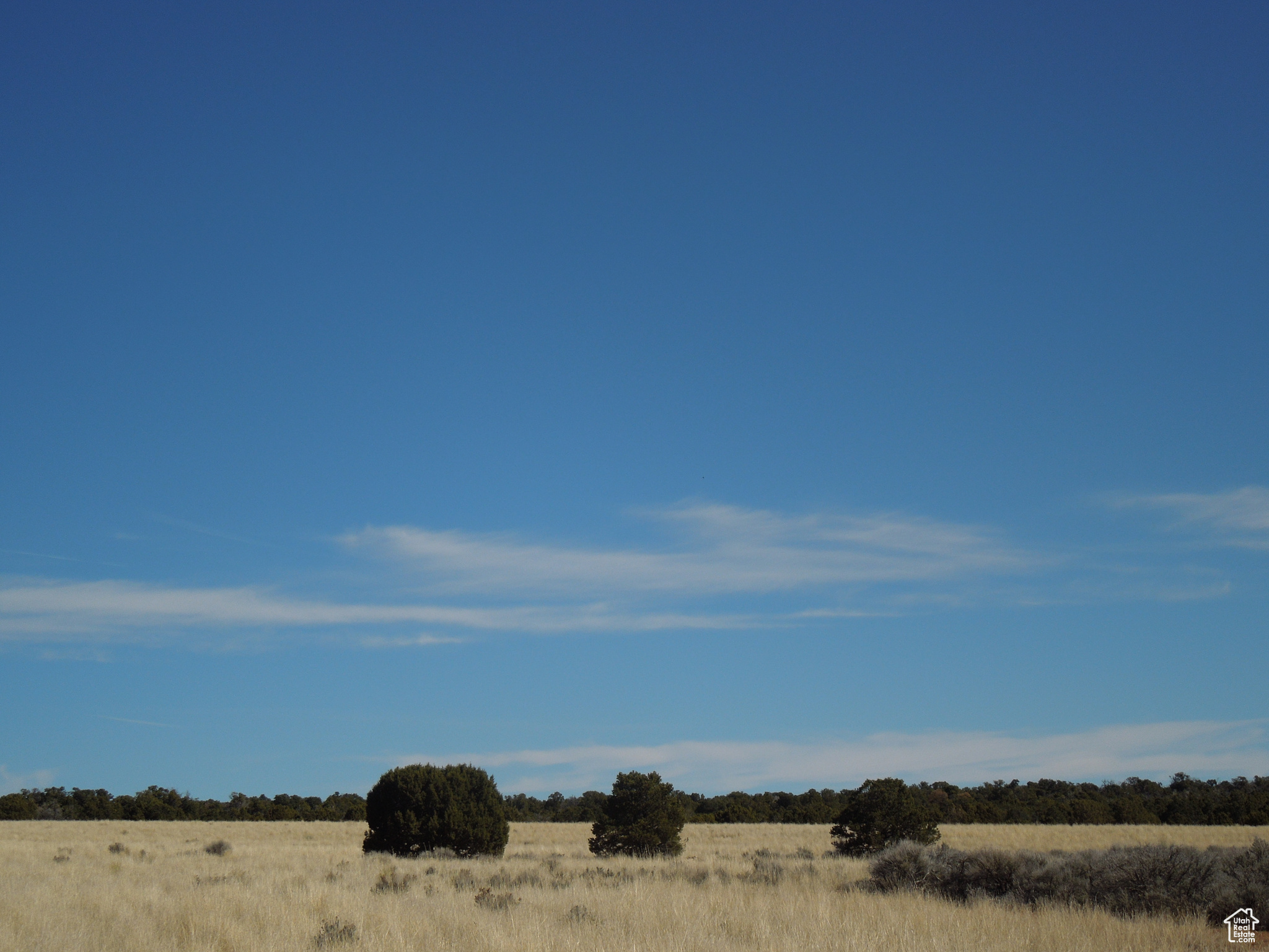 SUNRISE COUNTRY - Land