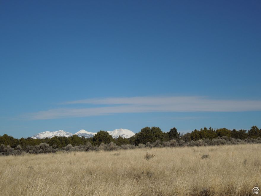 Sunrise Country Lot 20 near end of cul de sac in quiet neighborhood and off the grid.  HOA with Covenants to protect land values. Planted in perennial grasses and grains. Lovely views in all directions of several Mountain ranges; including Abajos and LaSal Mountains. Plenty of potential for solar and wind energy to power up your dream location and home. Adjacent Lot 17 is also available.  Water station available for fill-ups from developer, Victor Nebeker for a reasonable fee.  The North boundary of this lovely 35.08  acres is in common with U.S. BLM property, which is never for sale and there won't be any building there. Wild land ! It's just a short walk North on the BLM land to a spectacular view from the Rim of Lisbon Valley and 3 Step Hill !
