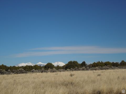 Vacant Land For Sale - 20 W Sunrise Country Rd #20<br/> Monticello, UT 84535