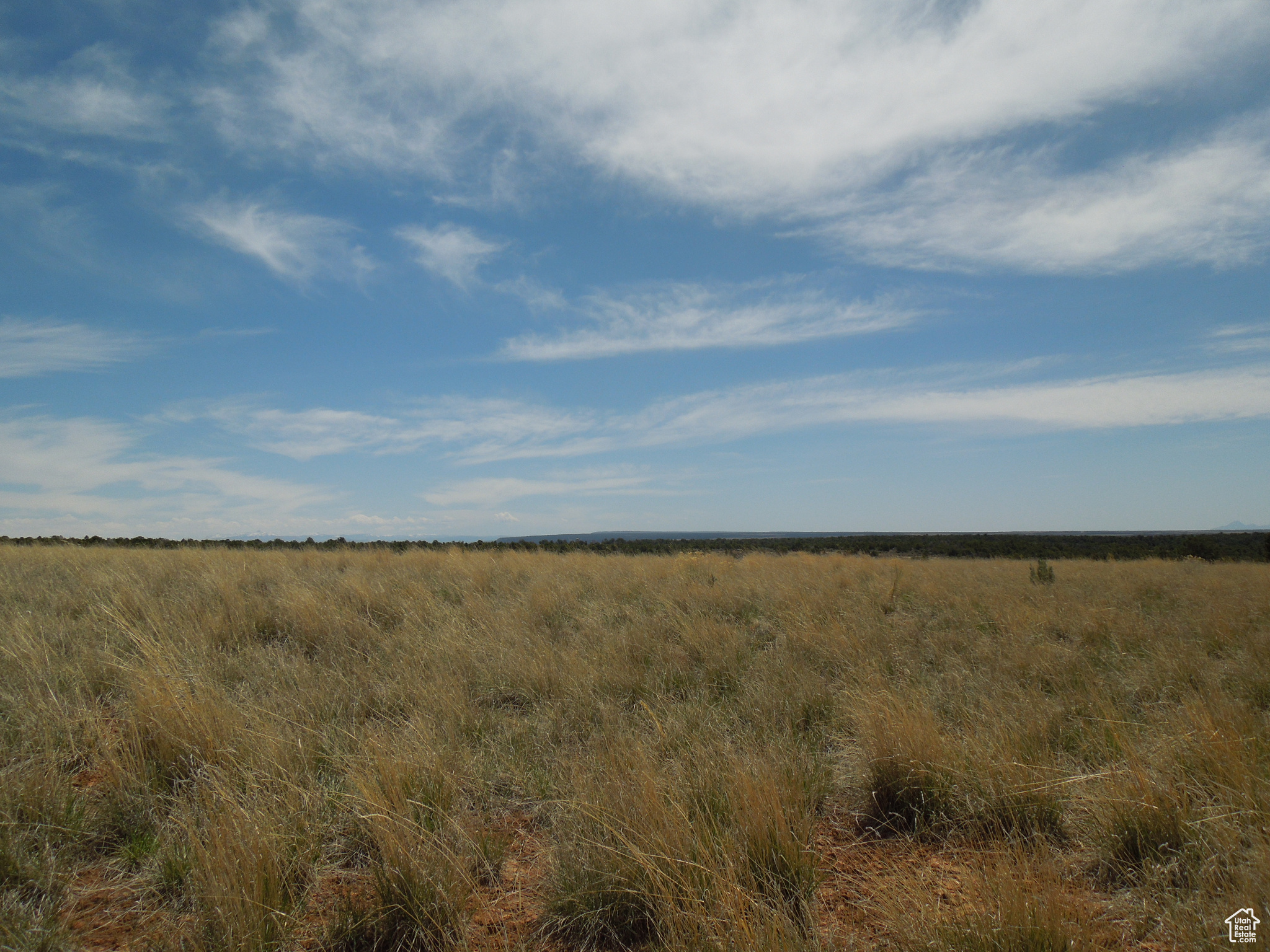 SUNRISE COUNTRY - Land