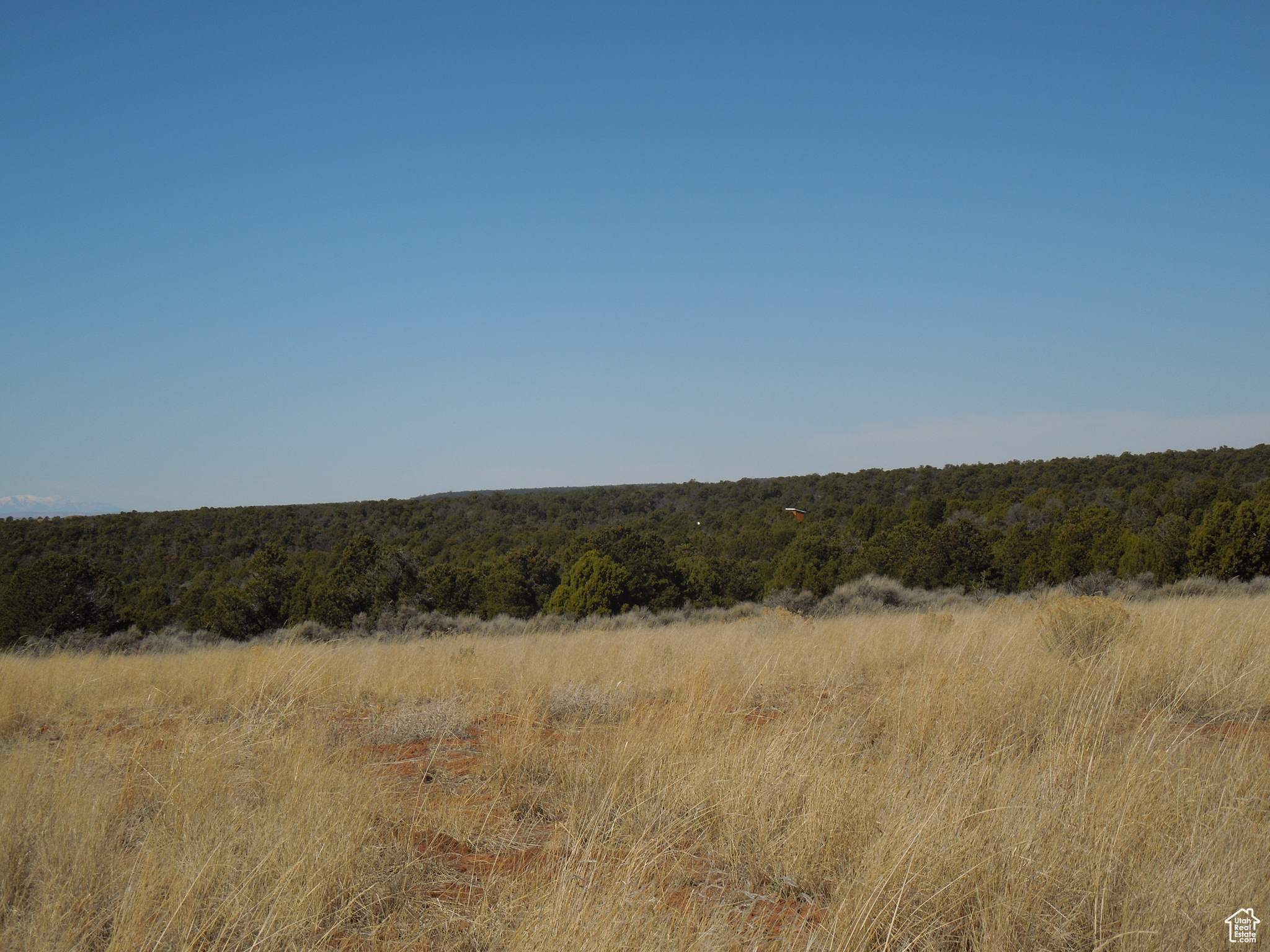 SUNRISE COUNTRY - Land