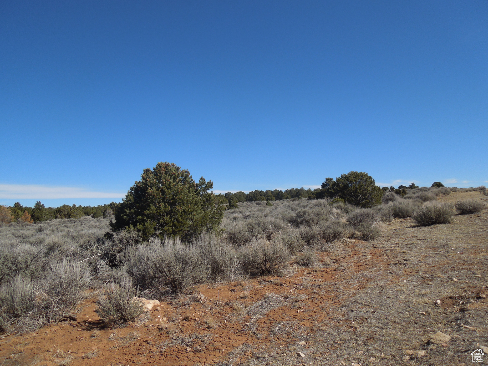 SUNRISE COUNTRY - Land