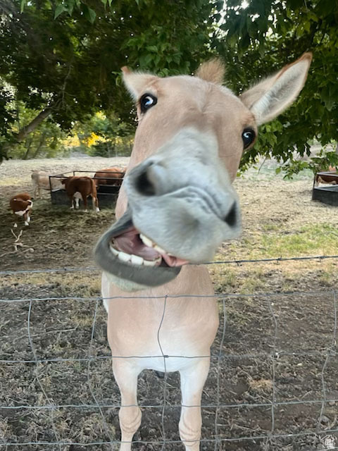 FAIRWAY MEADOWS - Residential