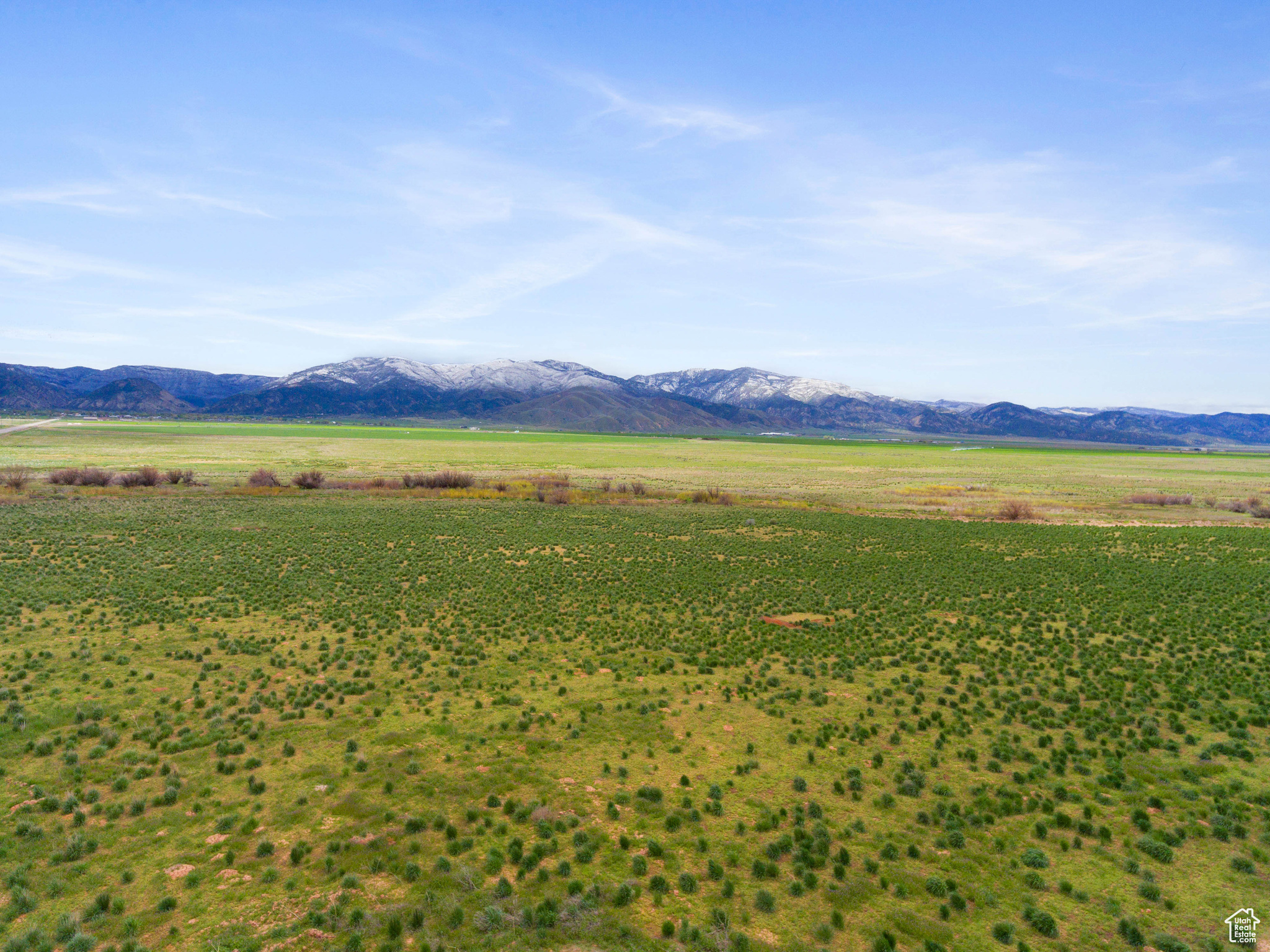 2851 W Hwy 78 #1, Levan, Utah image 1