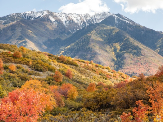 THOUSAND OAKS - Land