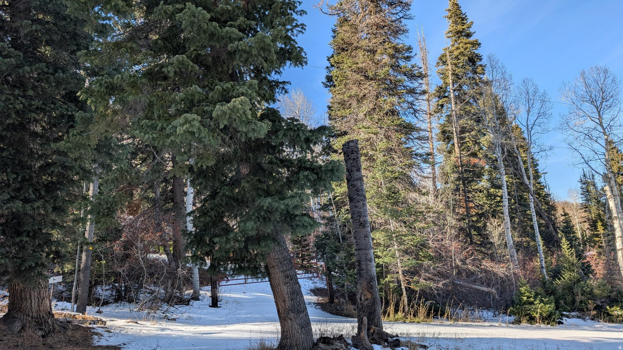 CAUSEY ESTATES - Land