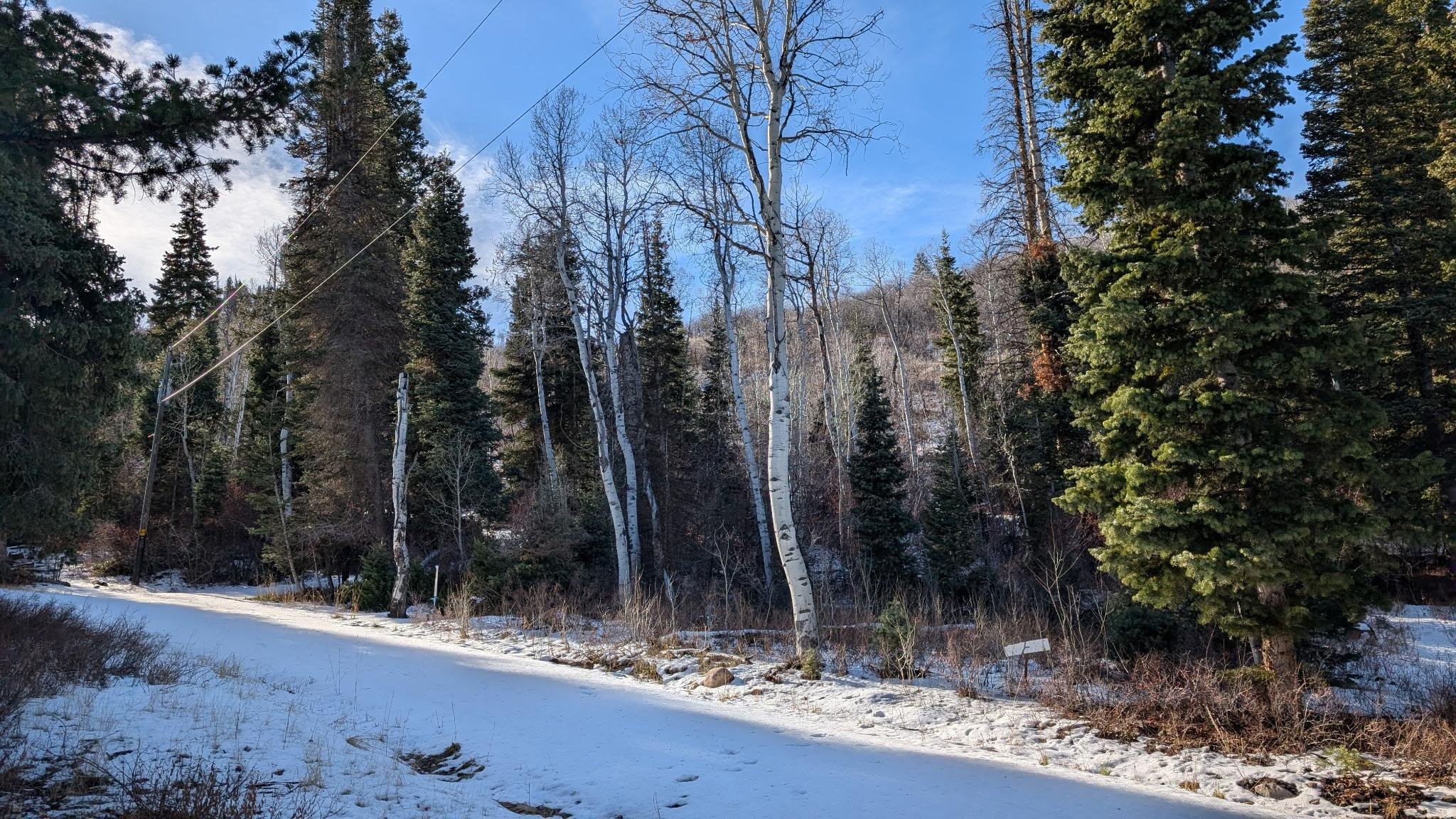 CAUSEY ESTATES - Land