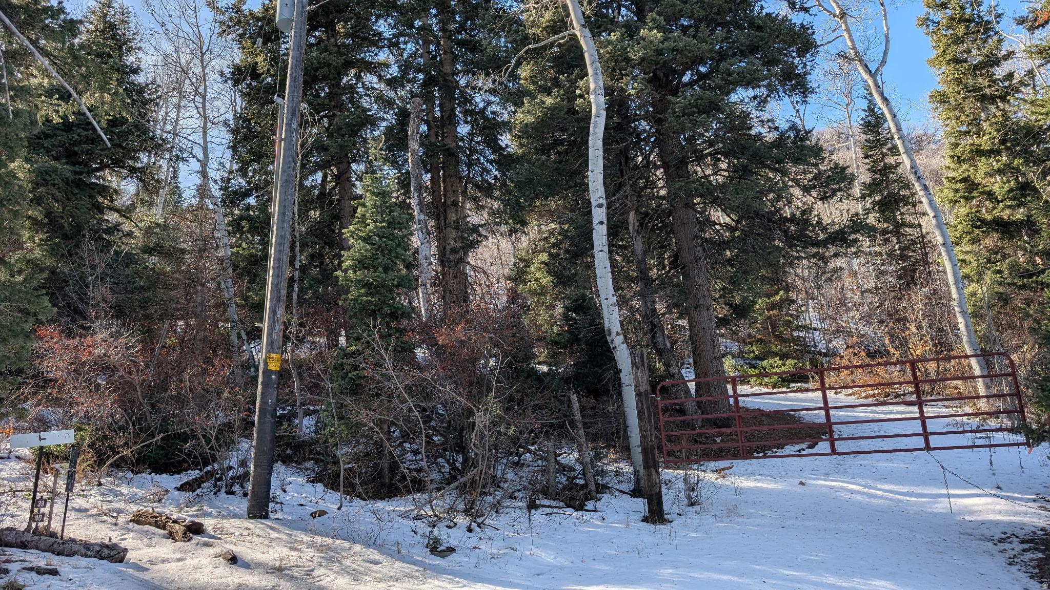 CAUSEY ESTATES - Land