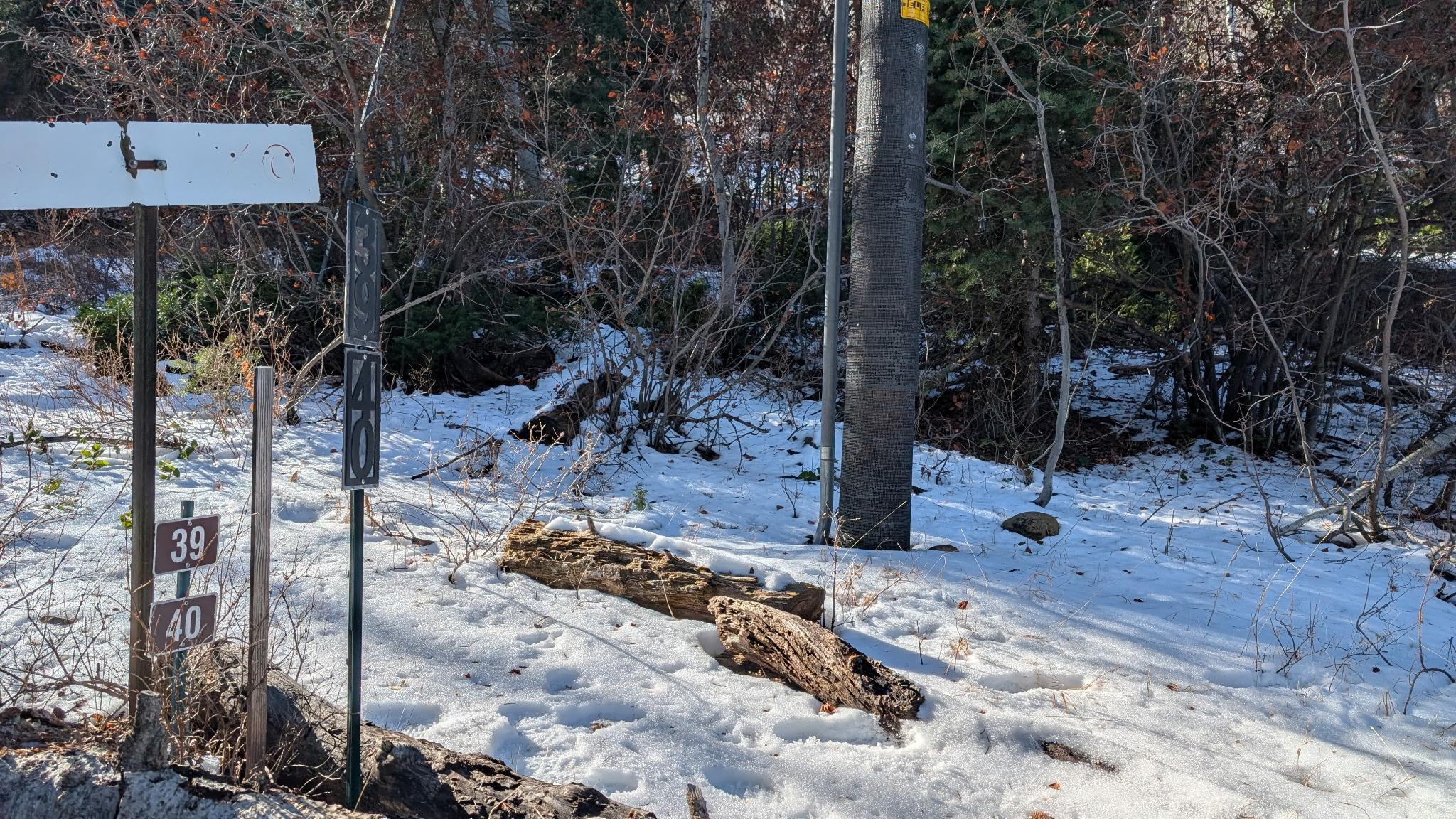 CAUSEY ESTATES - Land